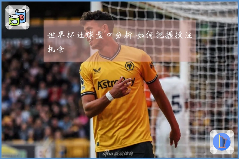 世界杯让球盘口分析 如何把握投注机会