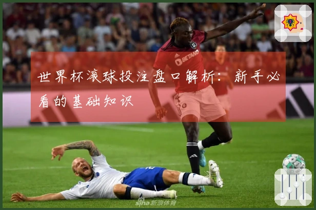 世界杯滚球投注盘口解析：新手必看的基础知识
