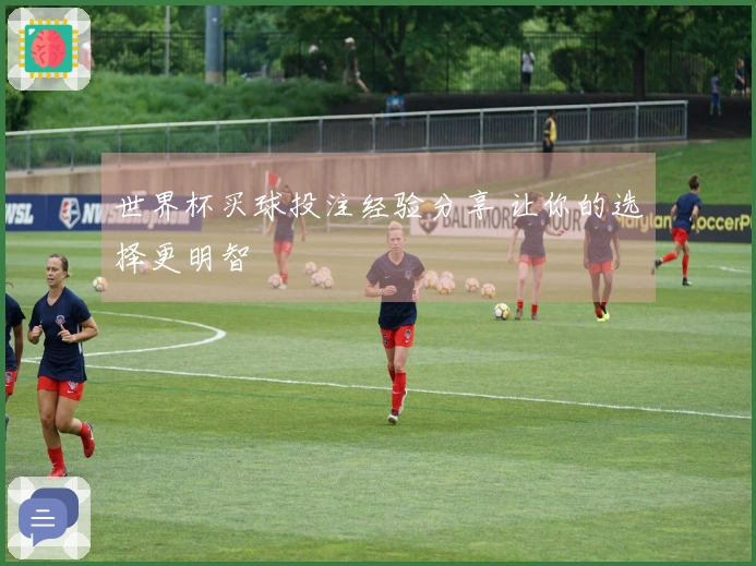 世界杯买球投注经验分享 让你的选择更明智