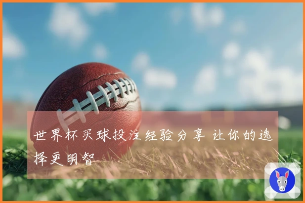 世界杯买球投注经验分享 让你的选择更明智
